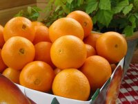 پرتقال؛ پاک کننده خلط های مضر بدن
