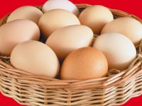 یک تخم مرغ چقدر پروتئین دارد؟