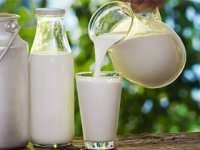 عوامل موثر بر فساد شیمیایی شیر