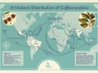 سفر قهوه به دور دنيا