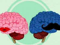 تاثیرات عجیب رابطه جنسی بر مغز انسان