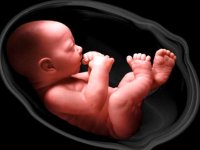 همه‌گیری کووید-۱۹ و سلامت مادر و جنین