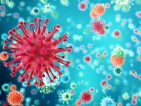 ویروس کرونا چه آسیبی به کلیه ها میزند؟