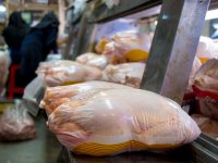هر کیلو گوشت مرغ در میادین تره بار چند قیمت خورد؟