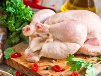 مشخصات مرغ سالم و قابل اطمینان برای خرید