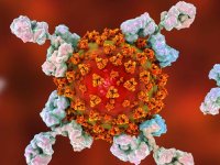 تفاوت تاثیرات منفی کرونا ویروس بر پسران و دختران