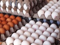 هر شانه تخم مرغ 30 عددی در بازار چند ؟