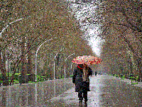 تهران بارانی می‌ شود