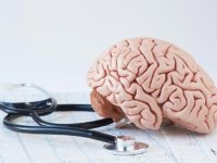 ۵ اقدام ساده برای سلامت مغز