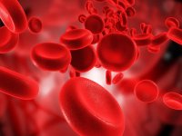 بهترین روش پاکسازی خون از دیدگاه طب سنتی