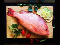 فواید ماهی سرخو برای سلامتی
