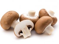 شیوه صحیح شستن قارچ به چه نحوی است؟
