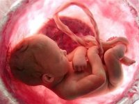تازه ترین آمار سقط جنین در کشور