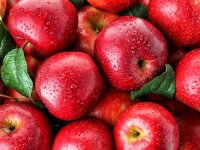 در روزهای آلوده هر روز سیب بخورید!