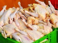 دلیل افزایش قیمت مرغ تا ۴۰ هزار تومان