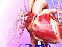 تفاوت زنان و مردان در بیماری قلبی چیست؟