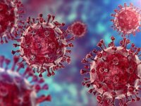 حرف‌های ضدونقیض از سازمان جهانی بهداشت درباره ویروس جدید