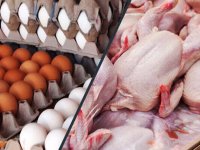 جدیدترین قیمت مرغ و تخم‌مرغ در میادین