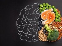 ۵ ماده غذایی مفید برای مغز