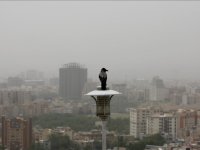 تداوم آلودگی هوای شهرهای صنعتی تا پنجشنبه