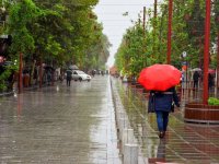 پیش‌بینی هوای تهران؛ از باد و باران تا کاهش دما طی روزهای آینده