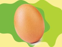 خطرات ناشی از مصرف تخم‌مرغ خام ( قسمت سوم )