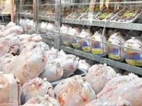 نوسانات قیمت مرغ در تهران برطرف می شود