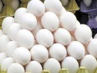 عرضه تخم مرغ ۴۲۵۰۰ تومانی از امروز