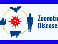 «زئونوز»ها متهم اول بروز بیماری‌های نوپدید