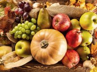 توصیه‌ های تغذیه‌ ای طب ایرانی برای مزاج‌ های مختلف در پاییز