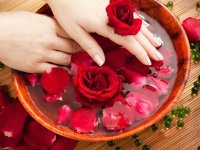 خواص و مضرات گل سرخ: تاثیرات شگفت‌انگیز بر سلامتی و زیبایی