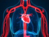 عوامل خطر بیماری‌های قلبی را بشناسید