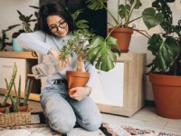فوت و فن‌های  مراقبت از گیاهان آپارتمانی