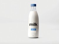 شیر«ای‌اس‌ال»را بشناسید