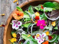 رژیم غذایی مناسب برای بهار