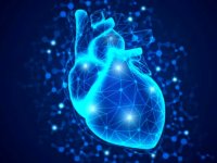 چرا مردان ۱۰ سال زودتر از زنان مبتلا به بیماری قلبی می‌شوند؟