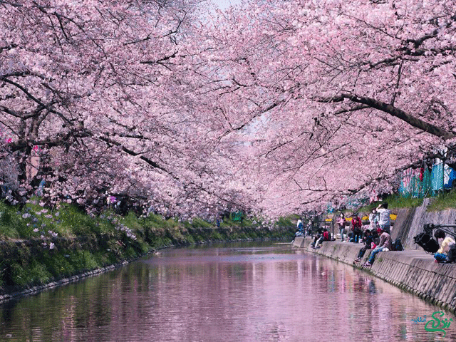 طبیعت زیبای ژاپن