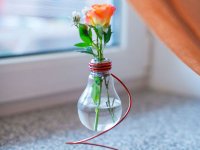 گلدان هایی از جنس لامپ