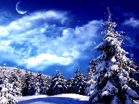 مناظر زیبای زمستانی